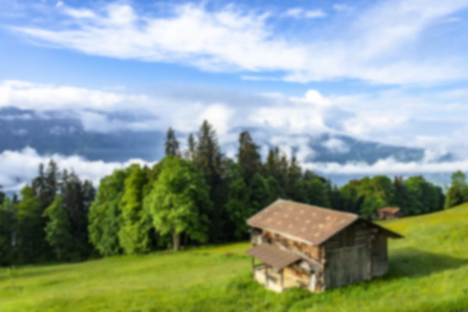 Trattamento astigmatismo presso lo studio oculistico Dott. Negrini a Milano