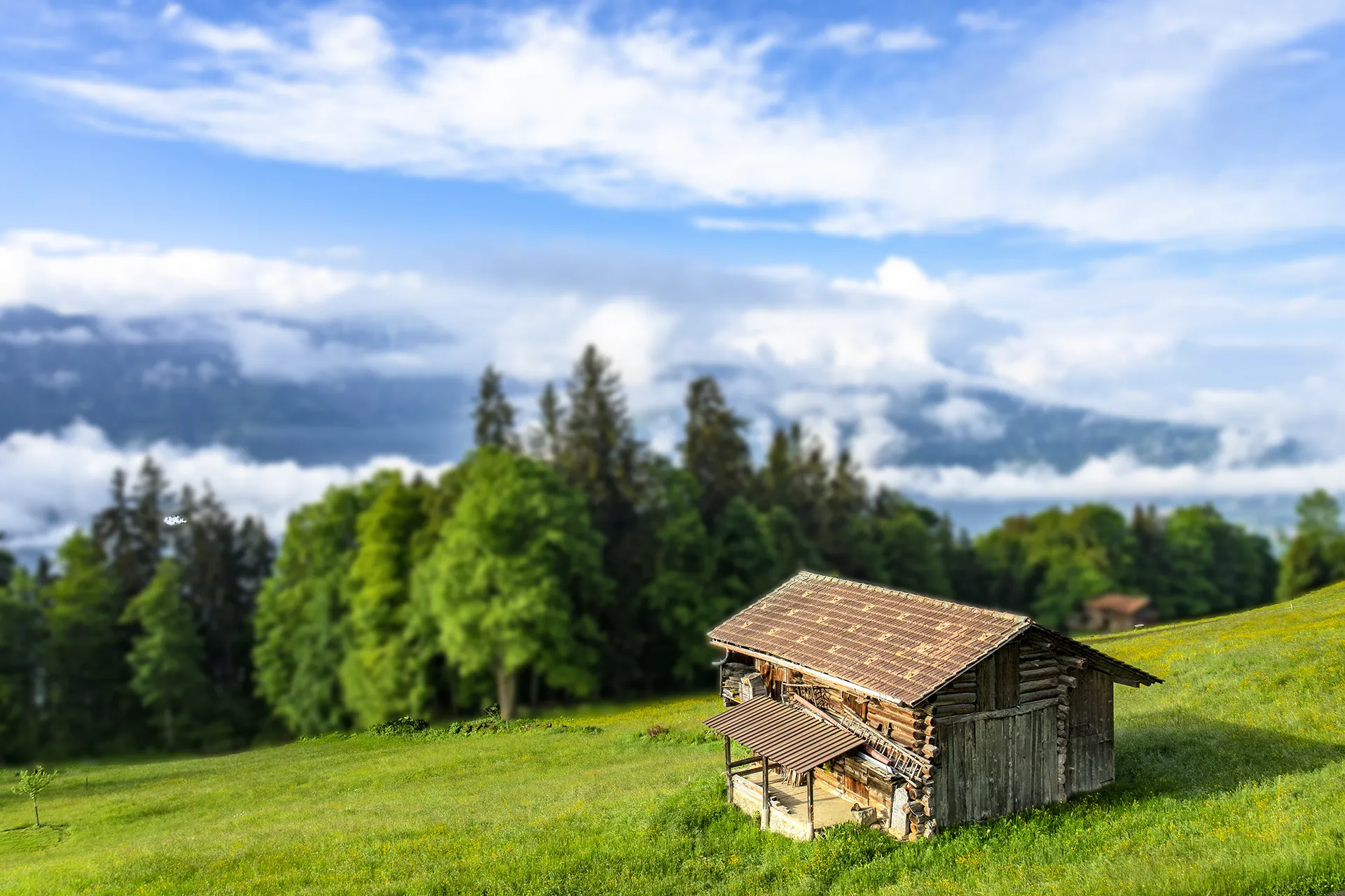 Trattamento miopia presso lo studio oculistico Dott. Negrini a Milano